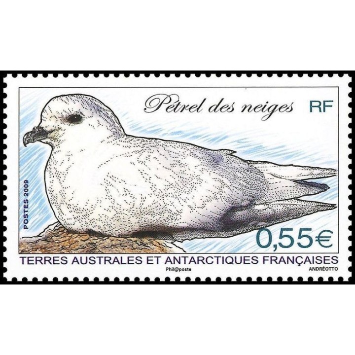 TAAF - 534