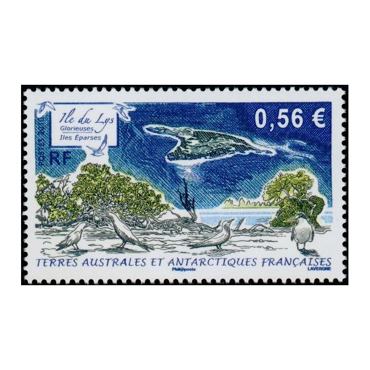 TAAF - 554