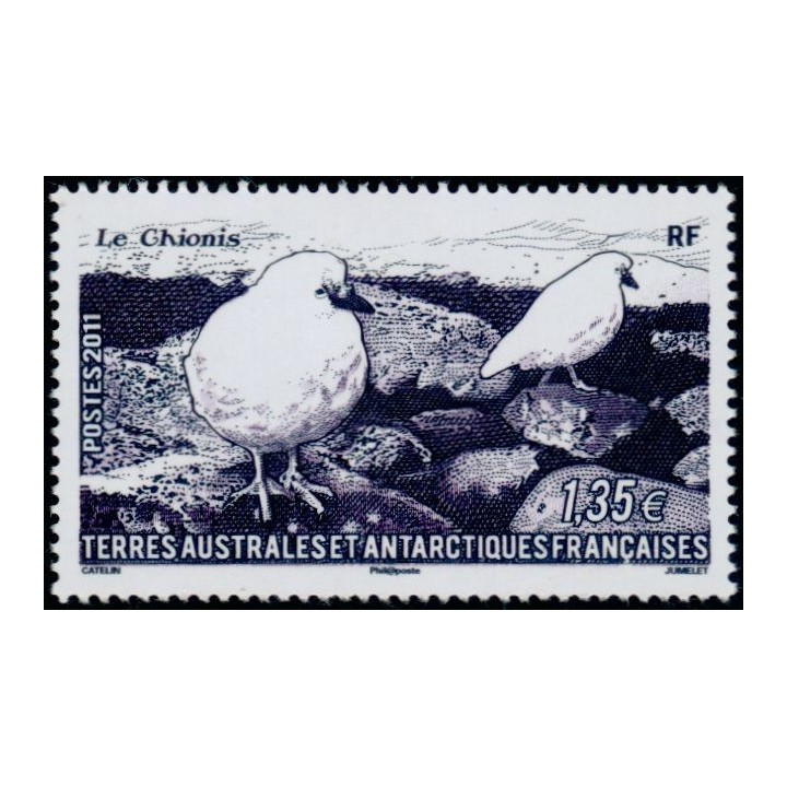 TAAF - 582