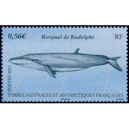 TAAF - 590