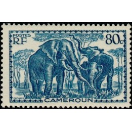 Cameroun - 176