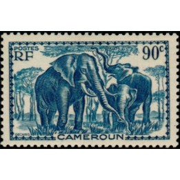 Cameroun - 177