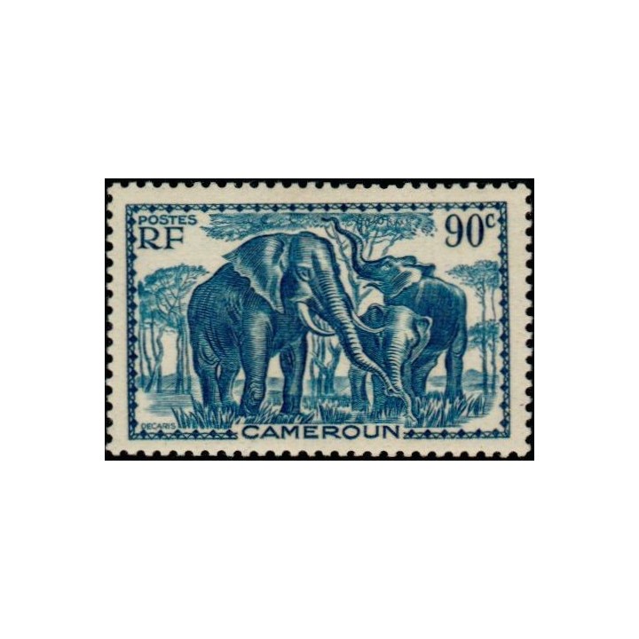 Cameroun - 177