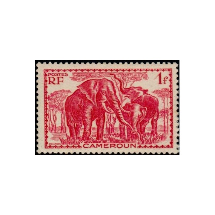 Cameroun - 178