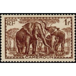 Cameroun - 179