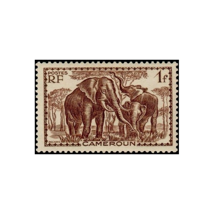 Cameroun - 179