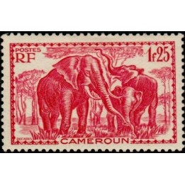 Cameroun - 180