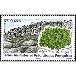 TAAF - 648