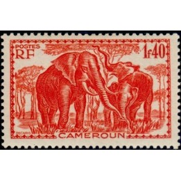 Cameroun - 181