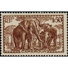 Cameroun - 182