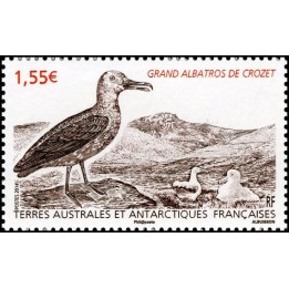 TAAF - 696