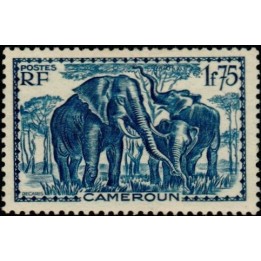Cameroun - 184