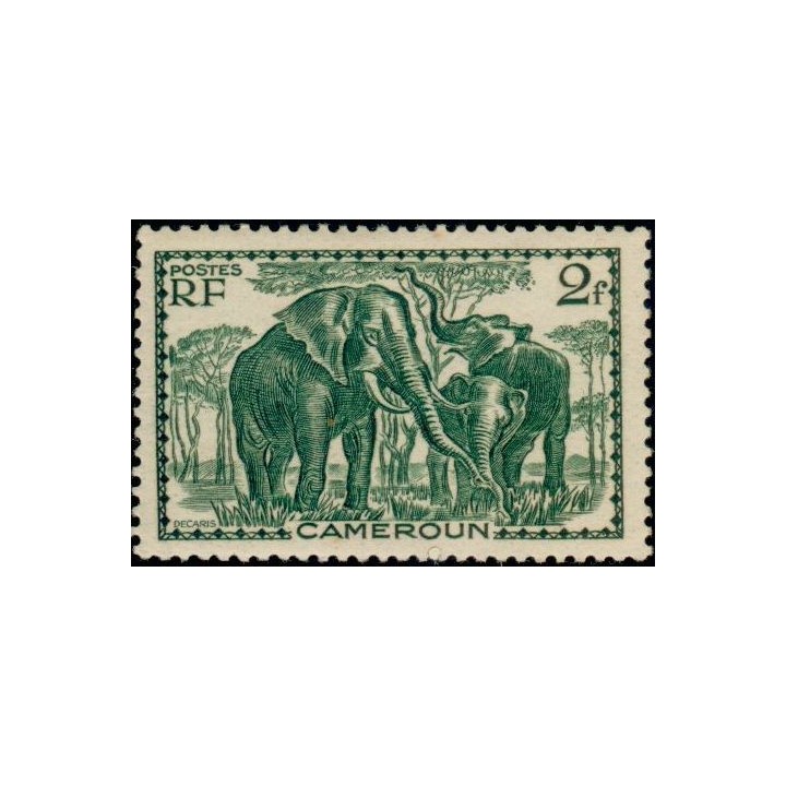 Cameroun - 185