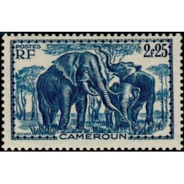 Cameroun - 186