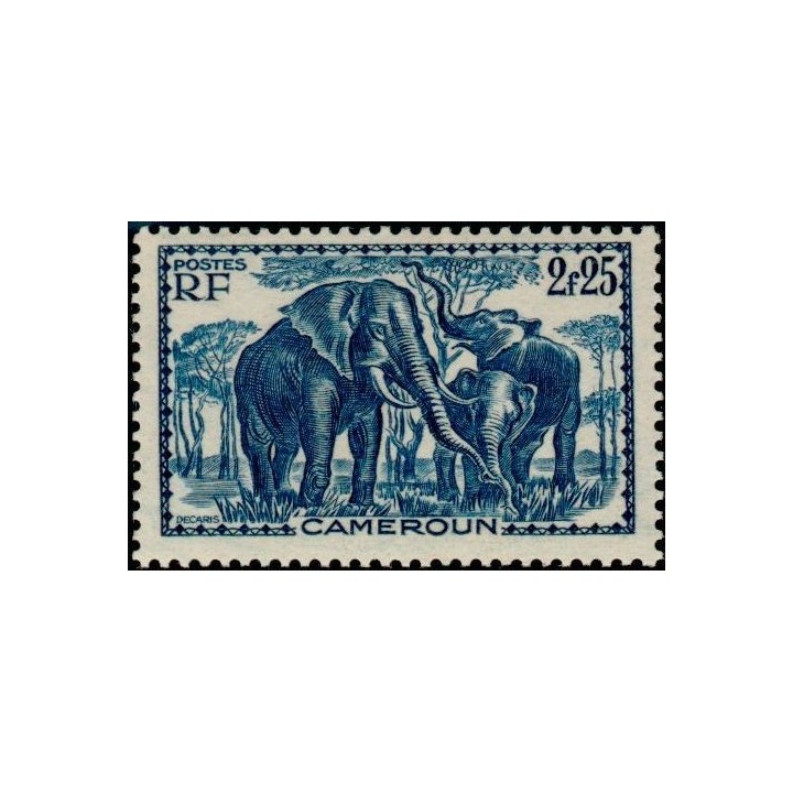Cameroun - 186