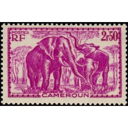 Cameroun - 187