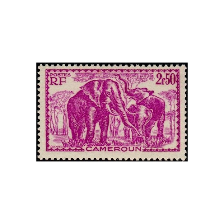 Cameroun - 187