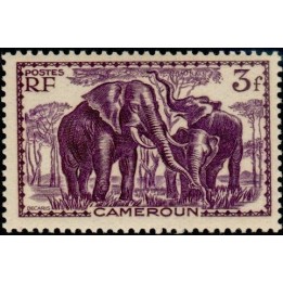 Cameroun - 188