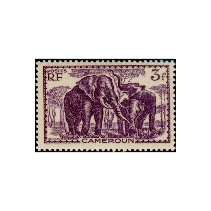 Cameroun - 188