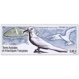 TAAF - 883