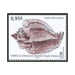 TAAF - 899