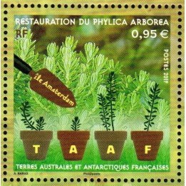 TAAF - 903