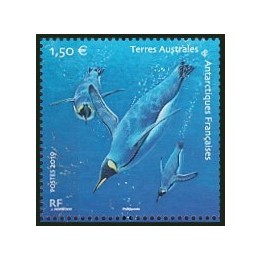 TAAF - 910