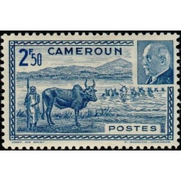 Cameroun - 201