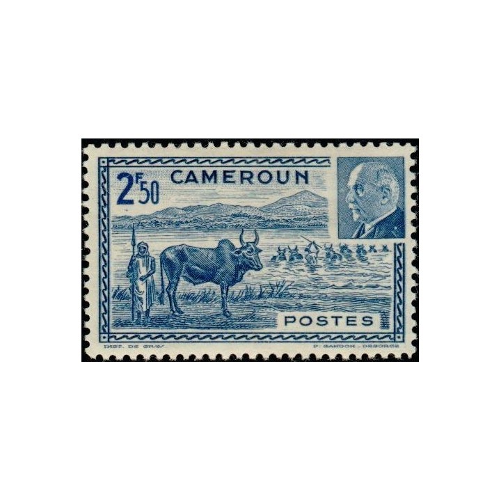 Cameroun - 201
