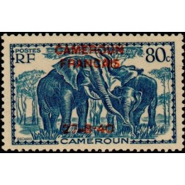 Cameroun - 221