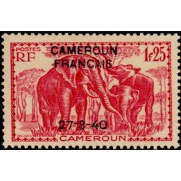 Cameroun - 223