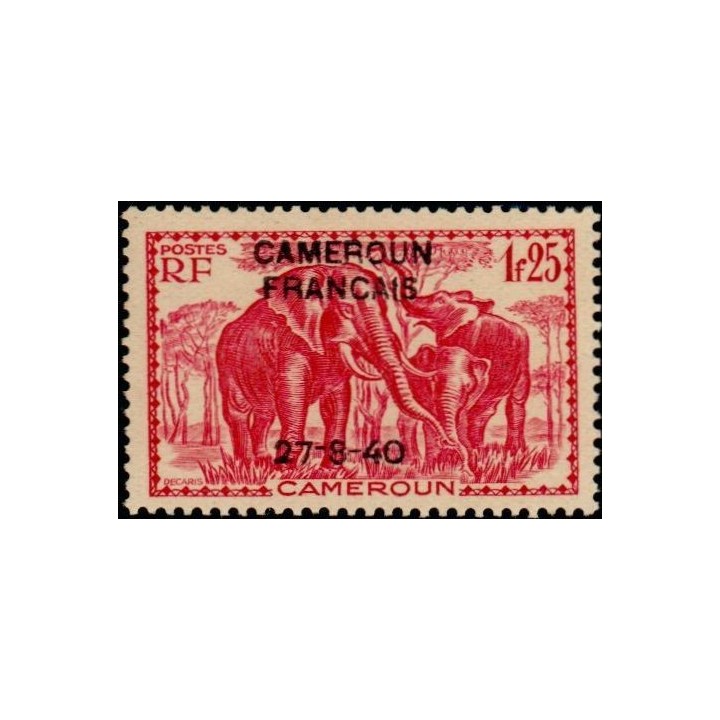 Cameroun - 223