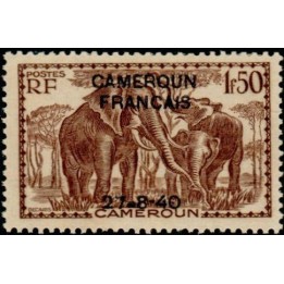 Cameroun - 225