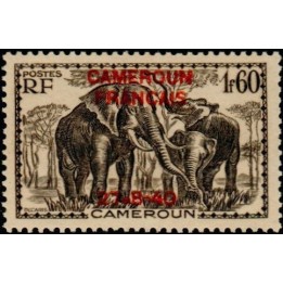 Cameroun - 226