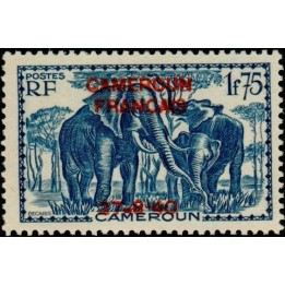 Cameroun - 227