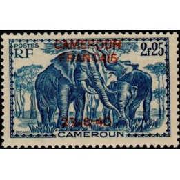 Cameroun - 228