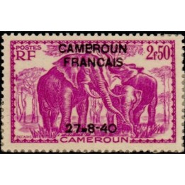 Cameroun - 229