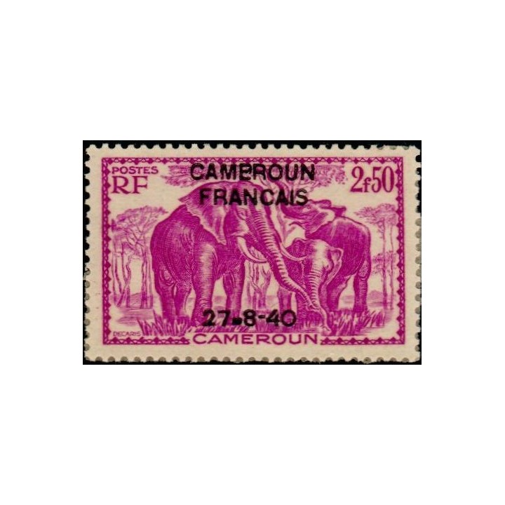 Cameroun - 229