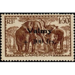 Cameroun - 242