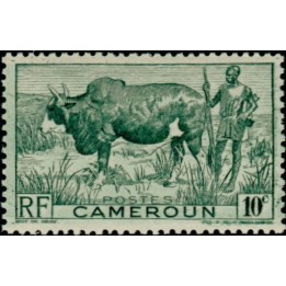 Cameroun - 276