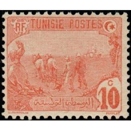 Tunisie - 032