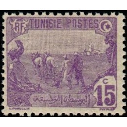 Tunisie - 033