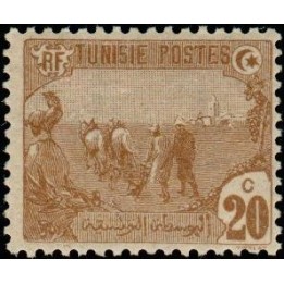 Tunisie - 034
