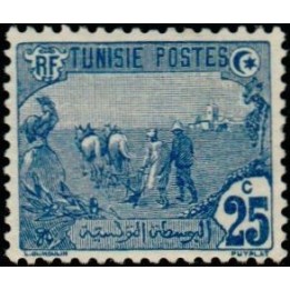 Tunisie - 035