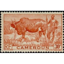 Cameroun - 277