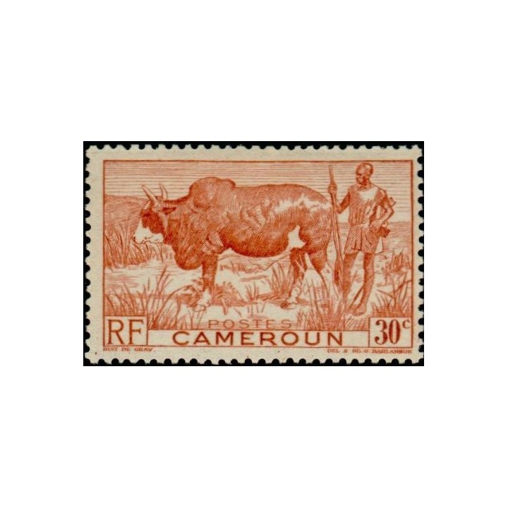 Cameroun - 277