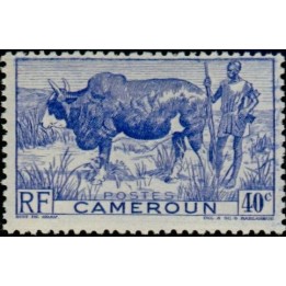 Cameroun - 278