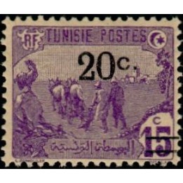 Tunisie - 069