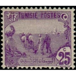 Tunisie - 072