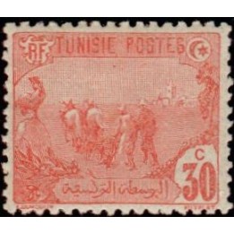 Tunisie - 073